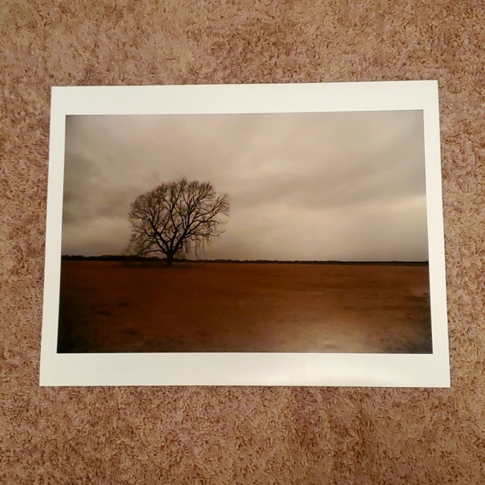 13" X 19" Beautiful picture taken in Texas 📸